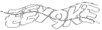 Check code